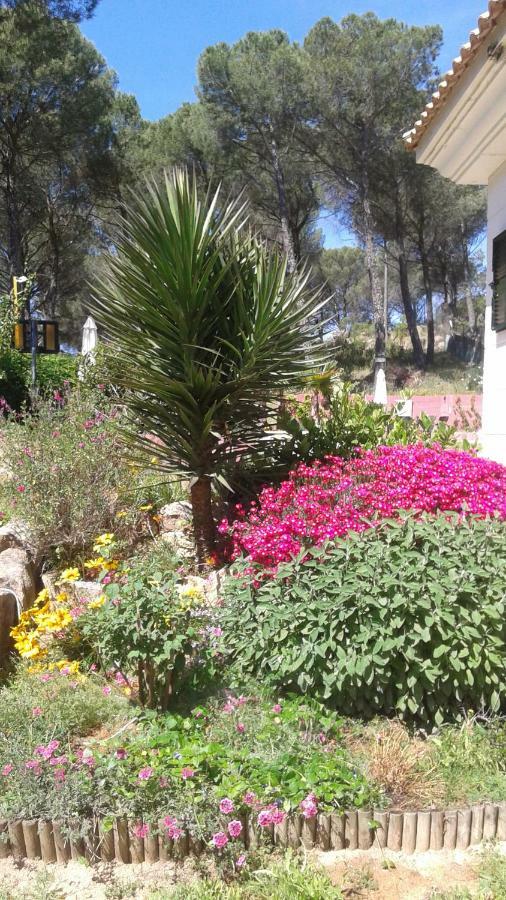 Casa Encantadora Con Piscina Privada Y Chimenea Villa Las Jaras Esterno foto