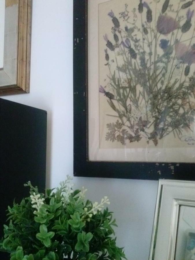Casa Encantadora Con Piscina Privada Y Chimenea Villa Las Jaras Esterno foto